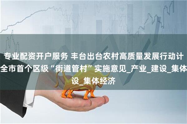 专业配资开户服务 丰台出台农村高质量发展行动计划和全市首个区级“街道管村”实施意见_产业_建设_集体经济